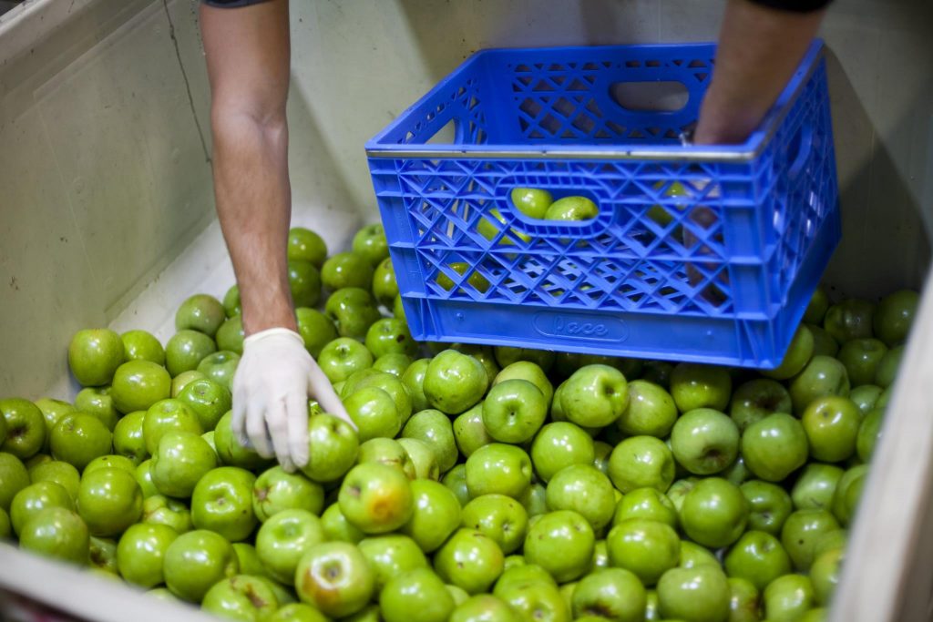 Donate Food Food Bank For New York City